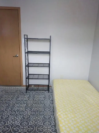 Beautiful Room for Rent