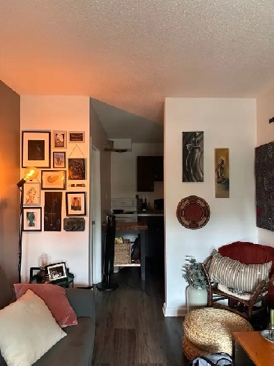 One bedroom apartment: New Edinburgh, not furnished