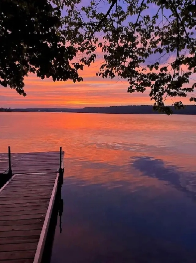 Looking to buy lakefront at Emma