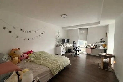 Lease Takeover | The Pearl DT Halifax | Female only