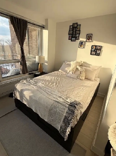 Appartement à louer/ apartement for rent