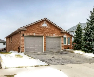 walk out Basement available in Cambridge