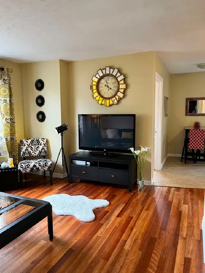 Everything Included Furnished Downtown 2 Bedroom Aug1 !