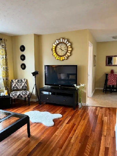 Everything Included Furnished Downtown 2 Bedroom Aug1 !