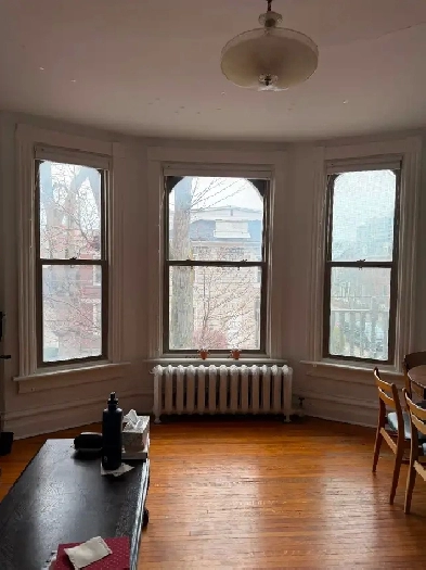 Large, bright one bedroom, downtown, June 1