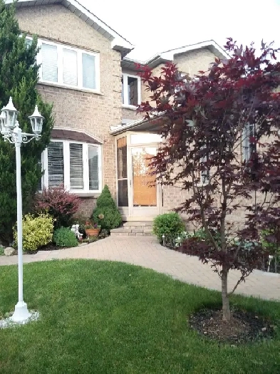 Furnished Bsmt bachelo/Separate entrance/Utilities included