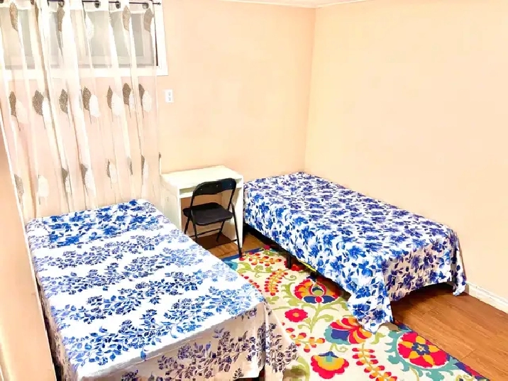 Newly Renovated All Inclusive Shared Room