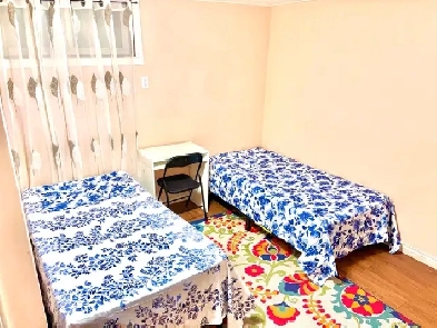 Newly Renovated All Inclusive Shared Room