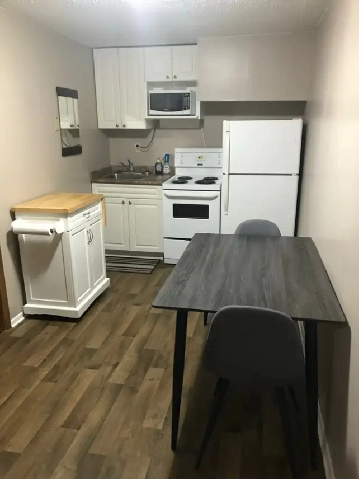 ONE BLOCK TO SASKPOLYTECH. 1 BEDROOM SUITE, 8 WEEK TENANCIES