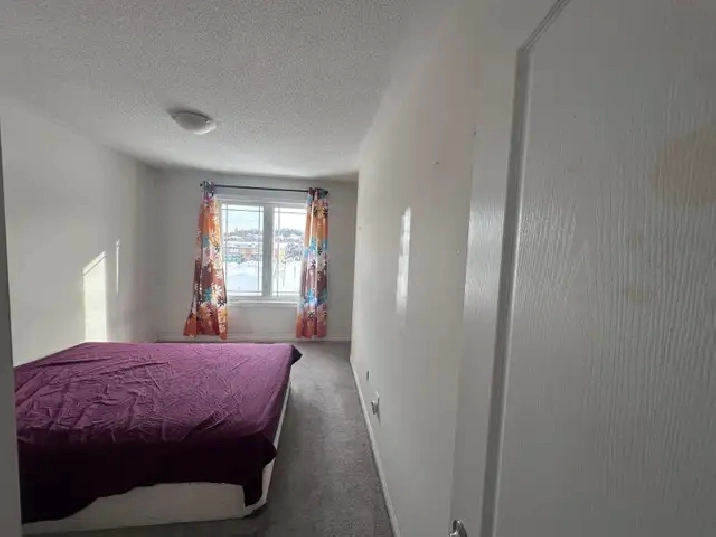 Large Room for rent (Barrie - Mapleview & Essa)