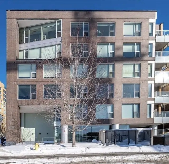 2 Bdm/2 Bth Condo, Pkg Incl, Downtown, Pool, Gym, 300 Lett, July