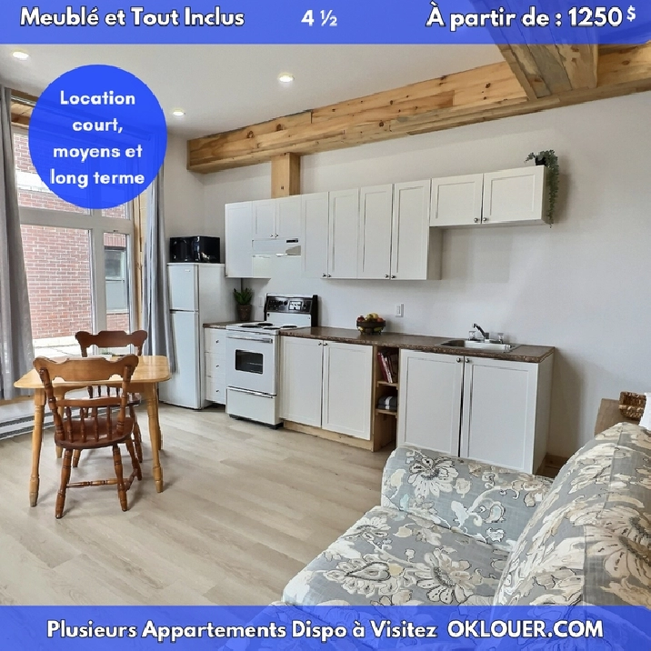 APPARTEMENT MEUBLÉ-TOUT INCLUS 4 1/2 CENTRE VILLE