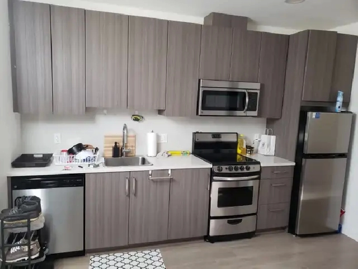 Modern Studio for Rent – Available June 1, 2026