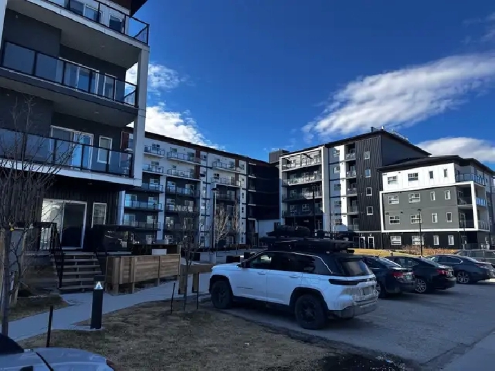 1 Bedroom Apartment for Sublet