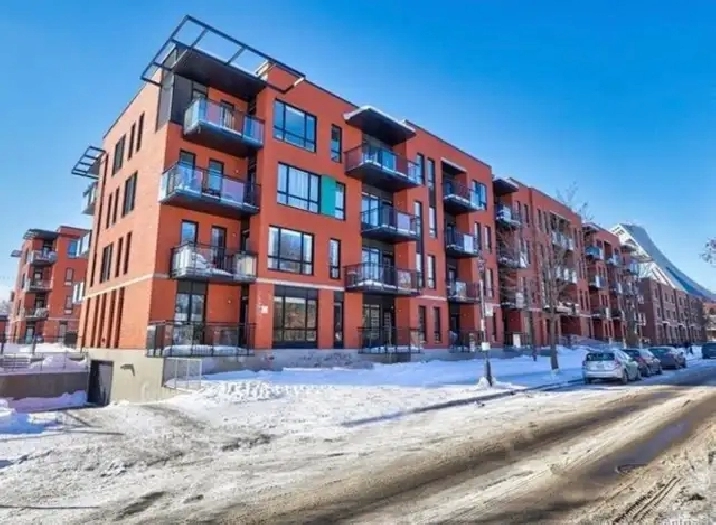 1 bedroom condo for rent in Hochelaga-Maisonneuve