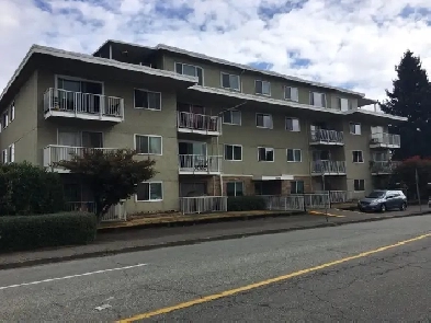 1 bedroom apartment - NOW SHOWING!