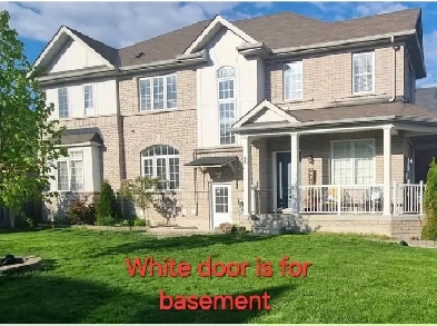 Basement for rent 2 bed 1 bath (Ajax On)