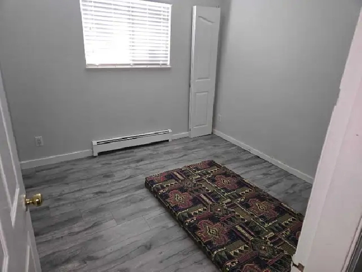 Rome available for Rent