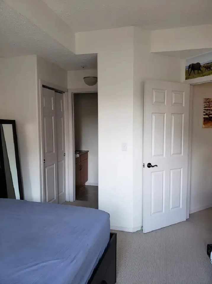 2 bedroom 2 bathroom condo for rent in University Plaza