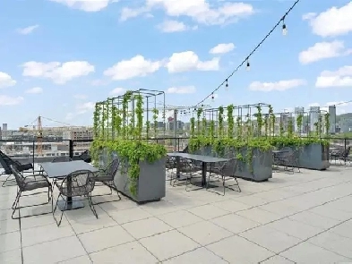 Quite and comfortable 3.5 conda to rent in GriffinTown