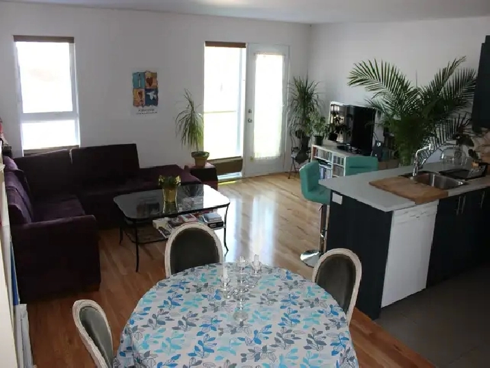 Condo/Appartement 2 chambres (Pointe St-Charles. près du métro)