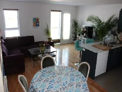 Condo/Appartement 2 chambres (Pointe St-Charles. près du métro)
