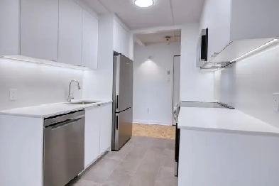 renovated 1-bedroom apartment, Saint-Lambert, May - ID 4463