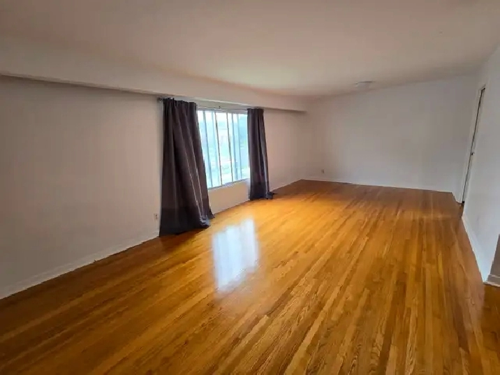 Students & Professionals: Large, Clean Room Near Carleton U.