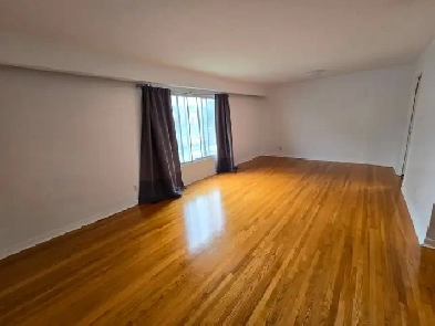 Students & Professionals: Large, Clean Room Near Carleton U.