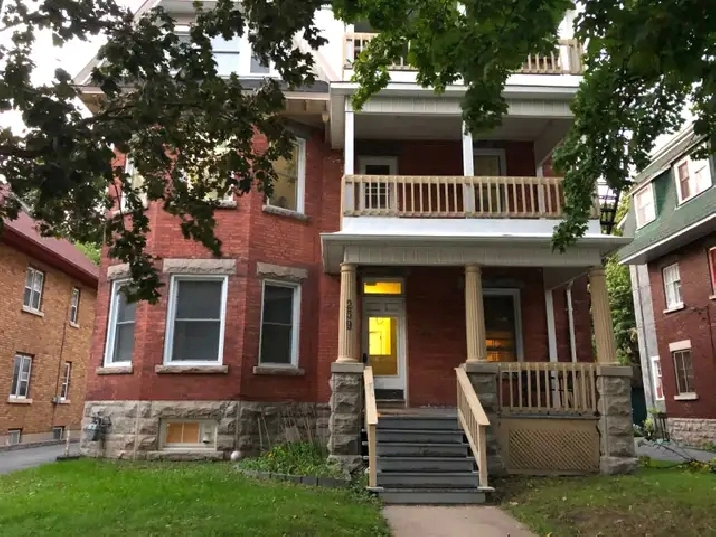 Live on the Glebe avenues - July or June 1 - 2 bed bsmt