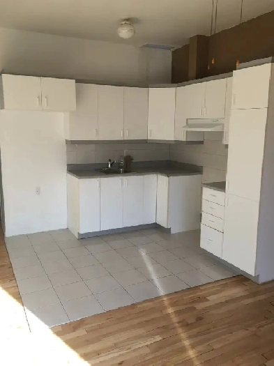 logement à louer 31/2