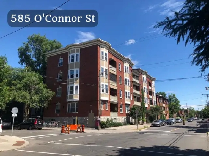 Cozy 2 Bedroom Glebe Apartment for Rent (585 O'Connor St)
