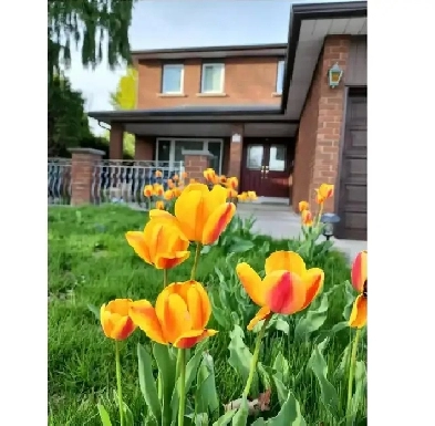 1 big bedroom in separate entrance BSM $1200