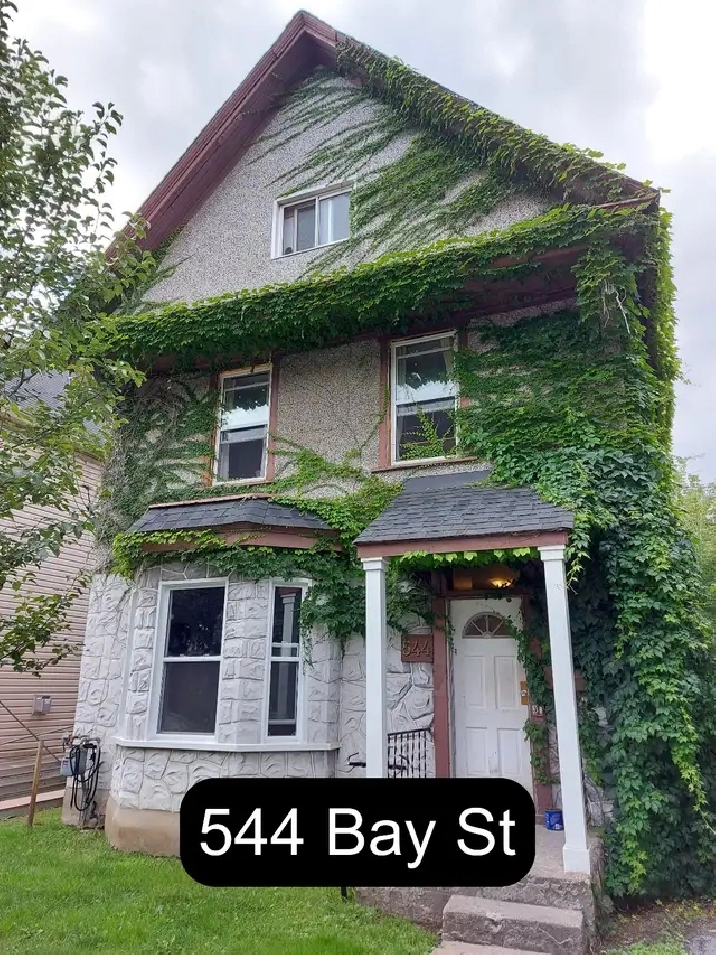 Cozy 1 Bedroom Centretown Apartment for Rent (544 Bay St)