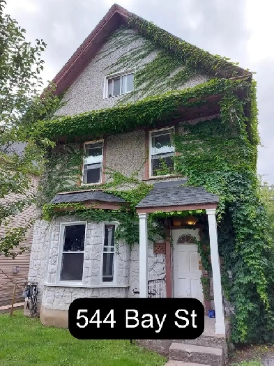 Cozy 1 Bedroom Centretown Apartment for Rent (544 Bay St)