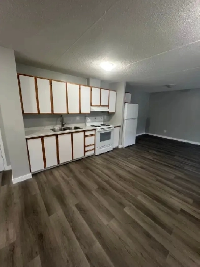 2 Bedroom available mid May in the Minnow Lake area