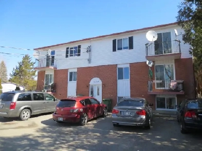 Grand 6  1/2 avec sous-sol - ILE BIZARD