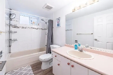 2 private rooms available, shared basement suite, female only
