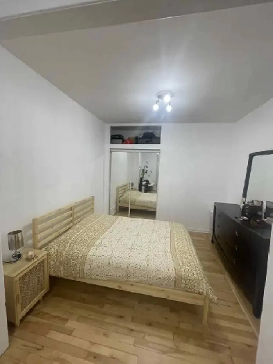 MÉTRO ET PARC LAURIER, TRÈS BEAU 3 1/2 2ÈME ÉTAGE RUE BOYER