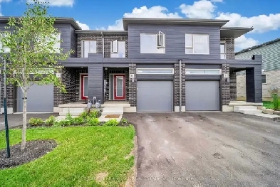 Newly Finished Basement Available For Rent !!