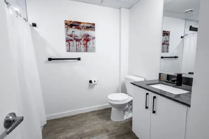 Furnished 1BR in Regina | Flexible Lease | Utilities Included