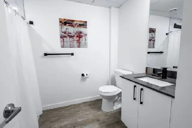 Luxury 2 BR Suite in Regina | Fully Furnished | Flexible lease