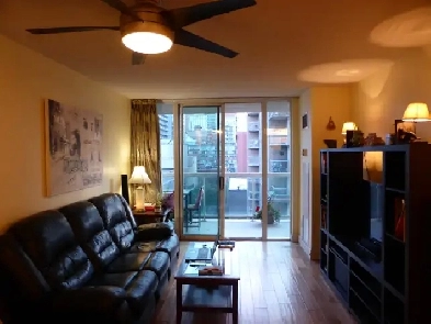 FURNISHED ROOM PVT BATHROOM IN DNTN CONDO W/ GREAT VIEW APR 28