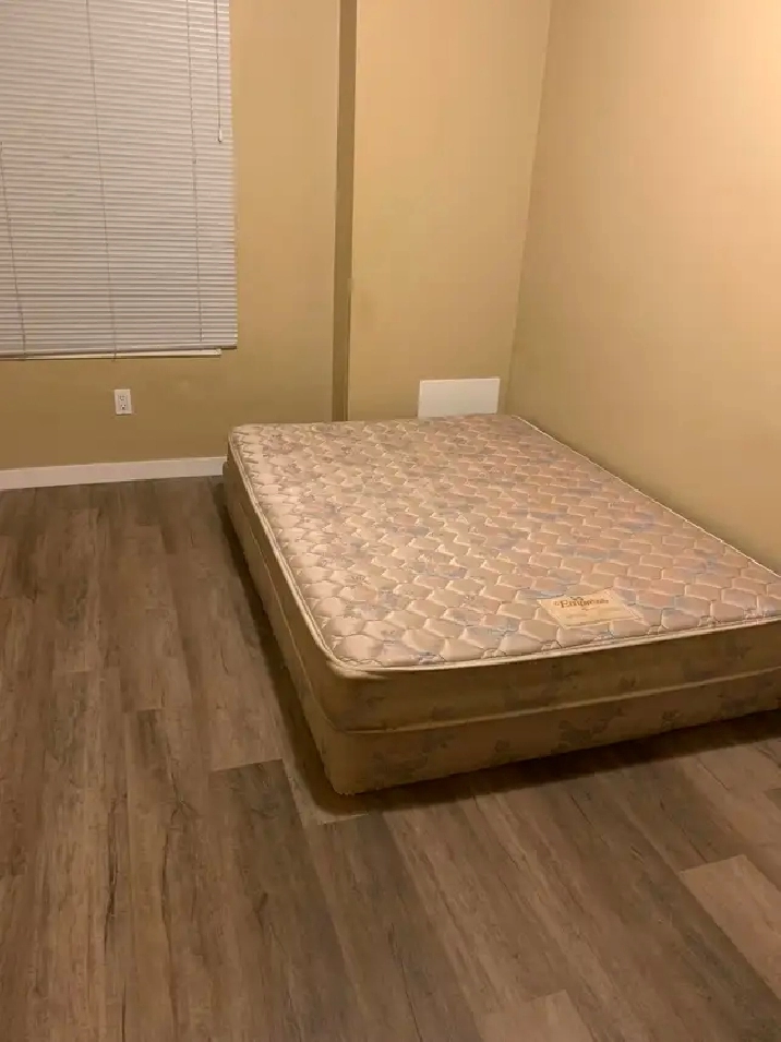 A room for rent