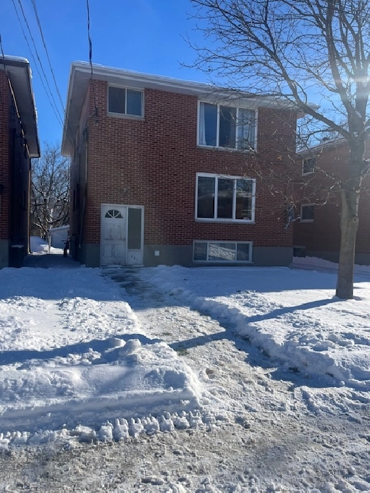 Queens Student Rental-Steps to Campus-Must See PRICE!