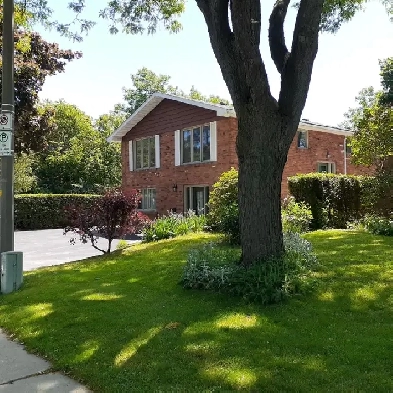 Scenic Drive - West of Chedoke - $995,000