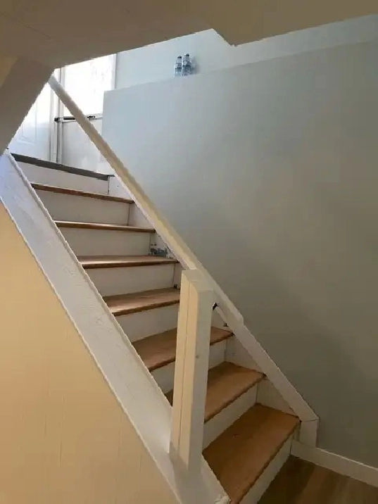 newly renoved bastment suite near southgate LRT for rent