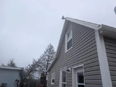 House for rent in Bonshaw