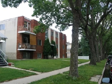 Short Walk to Uof A Hosp, Whyte Av, Safeway, O Strathcona, Buses