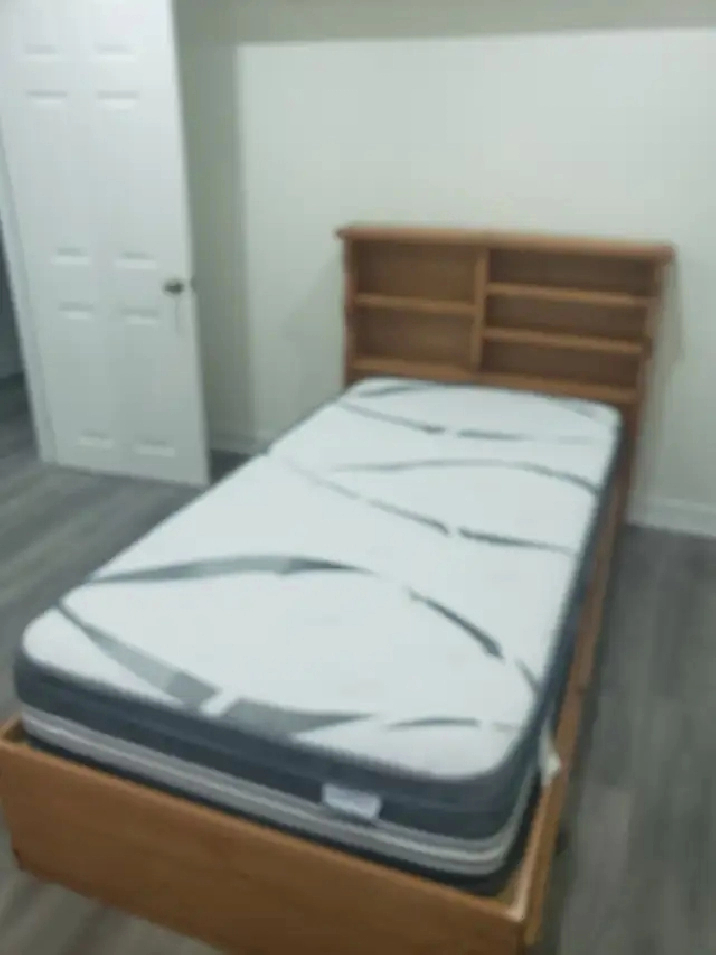 Room For Rent Near Humber Collage